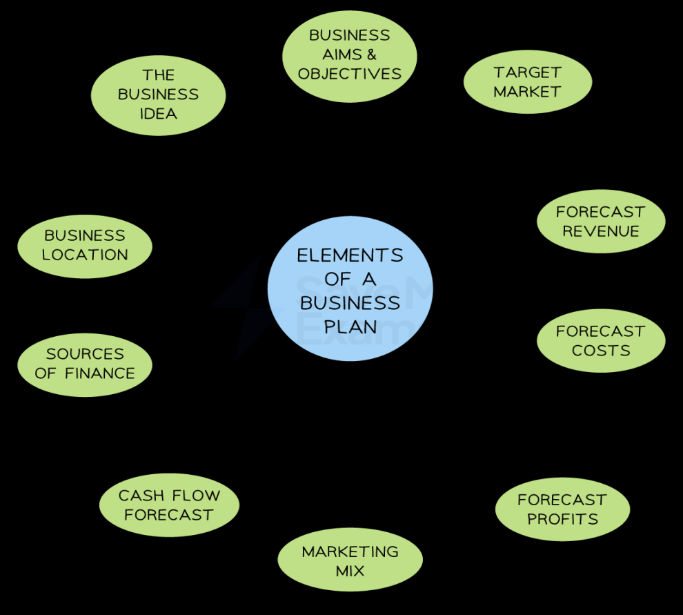 Business Plans & Government Support  Cambridge (CIE) IGCSE